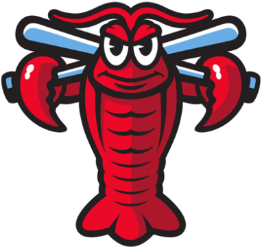 Hickory Crawdads 2016-Pres Alternate Logo v3 iron on heat transfer